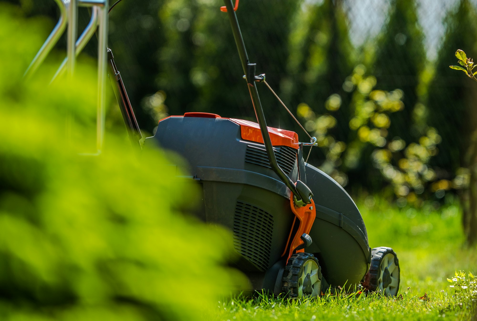 Grass Mowing in Garden